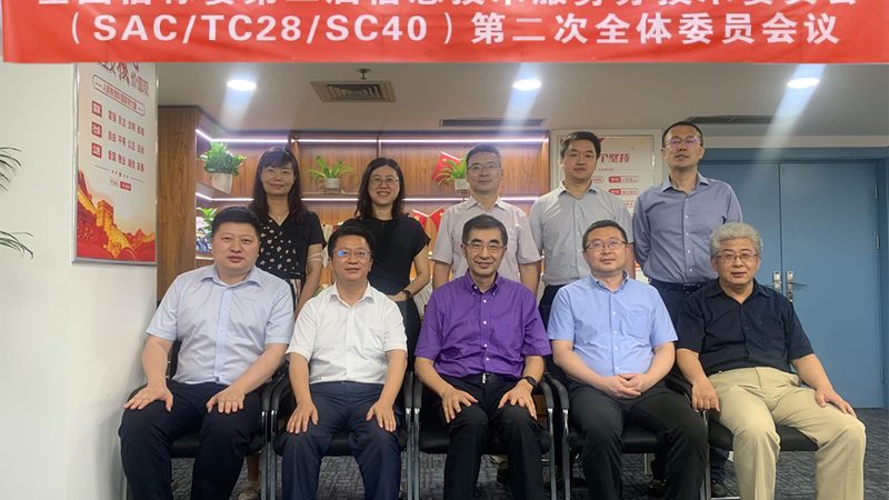IT咨询服务规范标准版本号解析：构建稳定可靠的IT服务