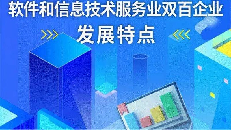 软硬件采购优缺点对比分析表